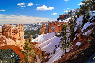 View of trees on snow covered landscape