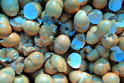 Full frame shot of shells