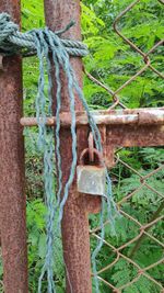 Close-up of rusty chain hanging on metal fence