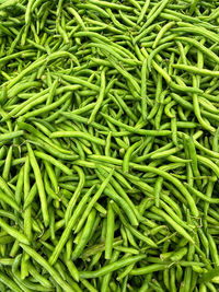 Organic green beans have been fresh picked and ready for your meal