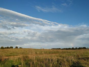 Scenic view of field against sky