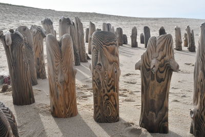 Panoramic view of wooden posts on beach