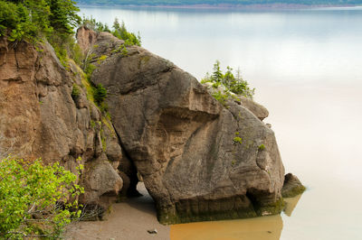 Rocks on shore against sky