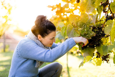 Side view of woman pruning vine in vineyard