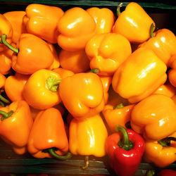 Close-up of red chili peppers for sale