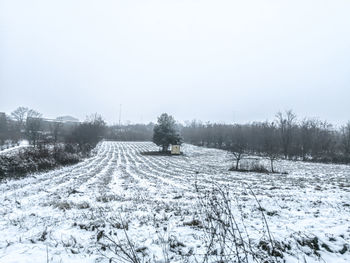 winter