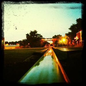 Trees along street light