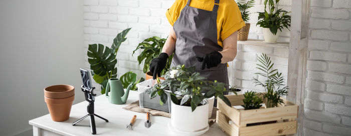 Potted plant against wall