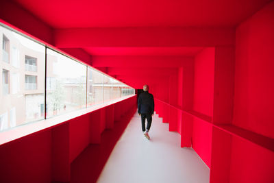 Rear view of man walking in corridor of building