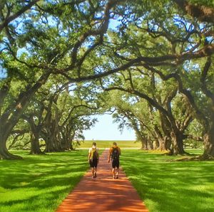 Rear view of people walking in park