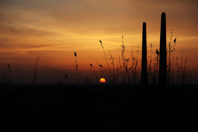 Silhouette trees on field against sky at sunset