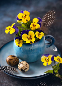 Creative floristic arrangement with purple, yellow pansy flowers and feathers in a blue coffee pot. 
