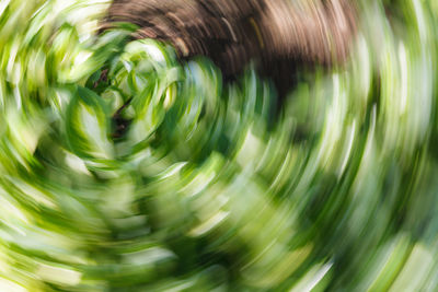 Full frame shot of spiral glass
