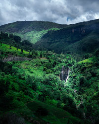 Giant tropical waterfall in the mountains, sri lanka. district of kandy
