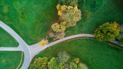 aerial view