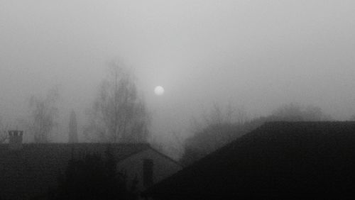 fog