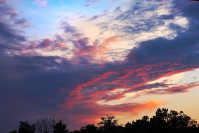 Low angle view of silhouette trees against sky