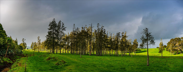 Panoramic shot of trees on land against sky