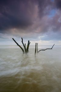 Driftwood on wooden posts in sea against sky