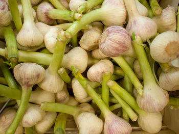 Full frame shot of vegetables for sale at market stall