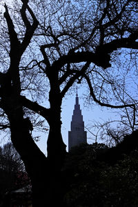 Low angle view of bare trees against sky