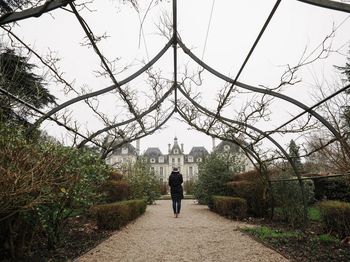 Man on road amidst trees against sky