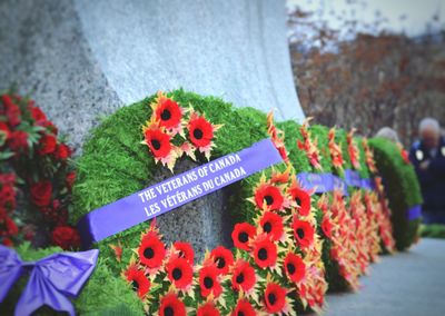 High angle view of various flowers on wall