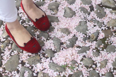 Low section of woman standing on red flowering plant