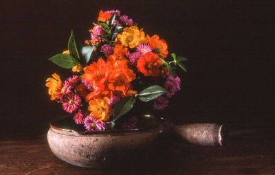 Close-up of flower pot