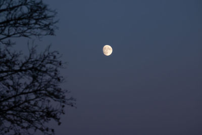 Low angle view of moon against clear sky at night