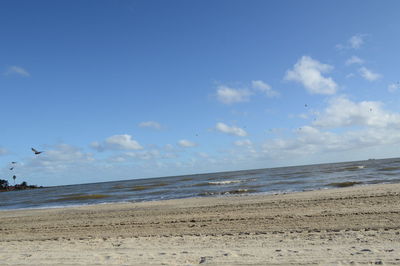 Scenic view of beach against blue sky