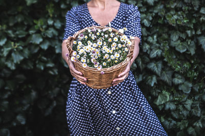 Midsection of woman holding basket with daisy