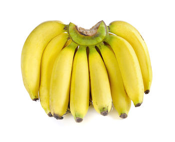 Close-up of bananas against white background