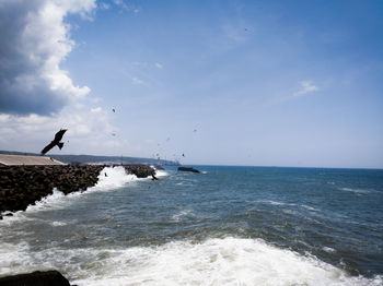 Seagull flying over sea against sky
