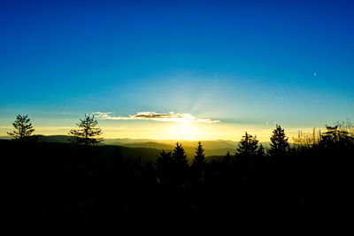 Silhouette trees against sky during sunset