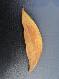 High angle view of yellow leaf on table
