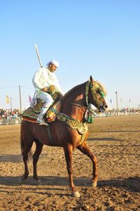 Horse standing on field against clear sky