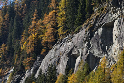 Scenic view of mountains during autumn
