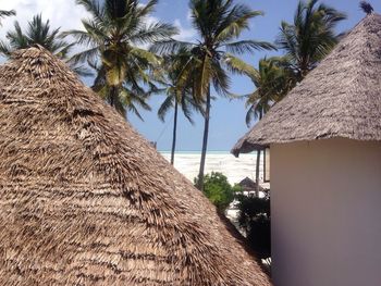 Low angle view of palm trees against clear sky