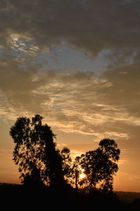 Low angle view of silhouette trees against sky during sunset