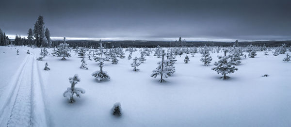 Snow covered field against sky
