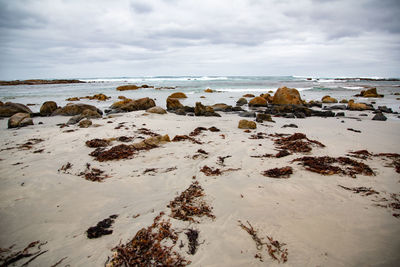 Rocks on beach against sky