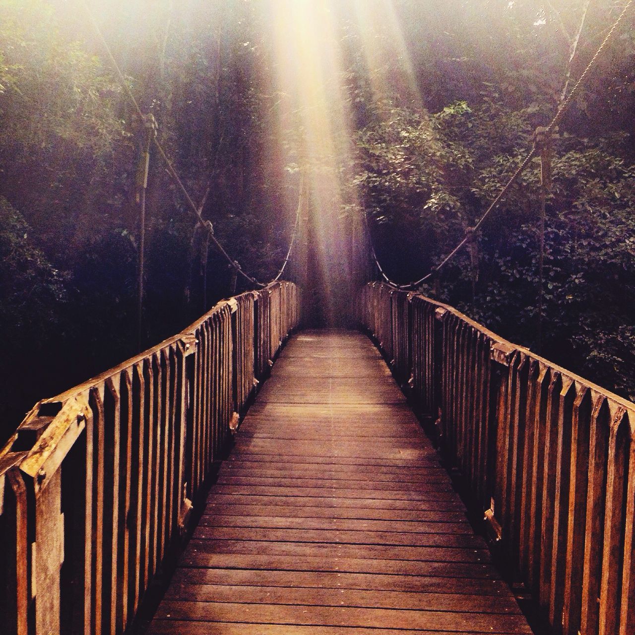 the way forward, railing, built structure, architecture, diminishing perspective, connection, bridge - man made structure, footbridge, vanishing point, fence, nature, no people, tranquility, outdoors, walkway, long, bridge, building exterior, narrow, tree