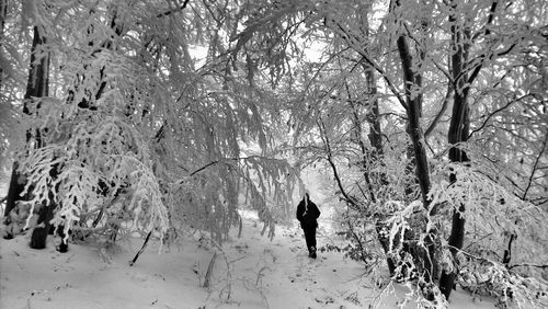 Man walking on snow covered bare trees