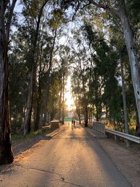 People on footpath amidst trees