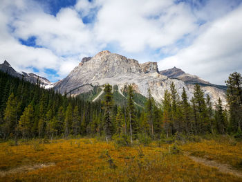 Scenic view of landscape and mountains against sky