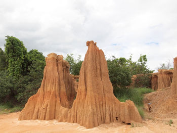 Panoramic view of trees on field against sky