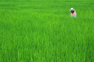 Full length of man on land