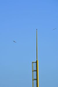 Low angle view of bird flying against clear blue sky