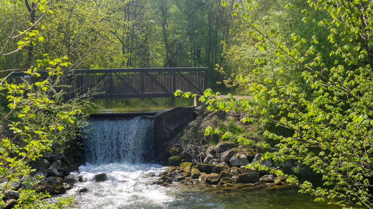 SCENIC VIEW OF WATERFALL